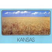 Pharmacy technician employment and salary trends, and career opportunities in Kansas